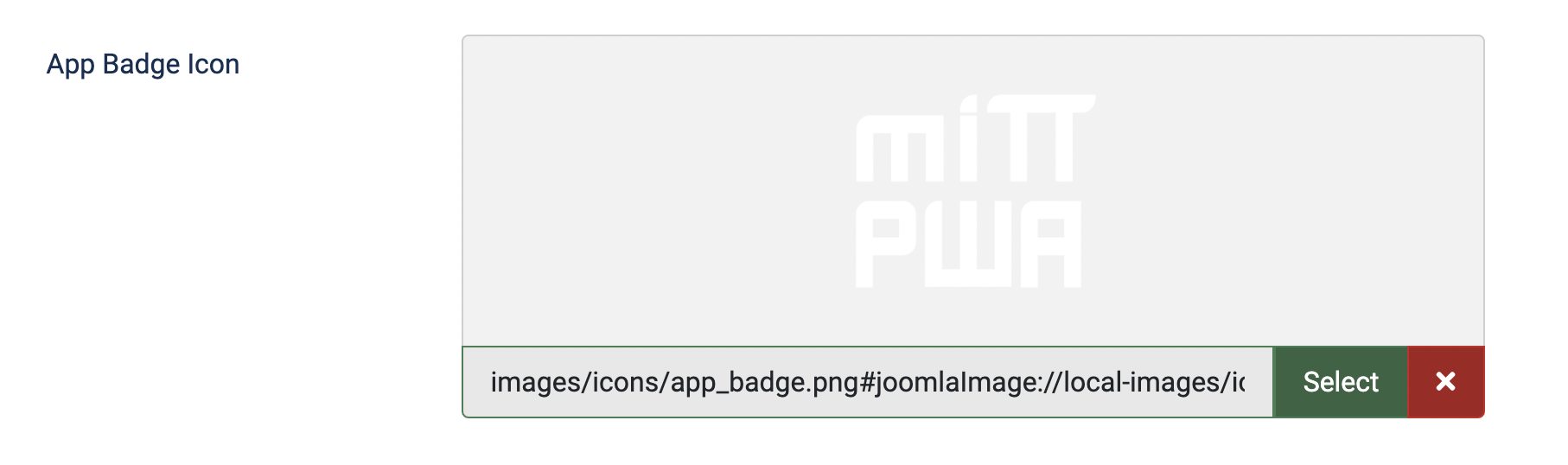 App Badge Icon