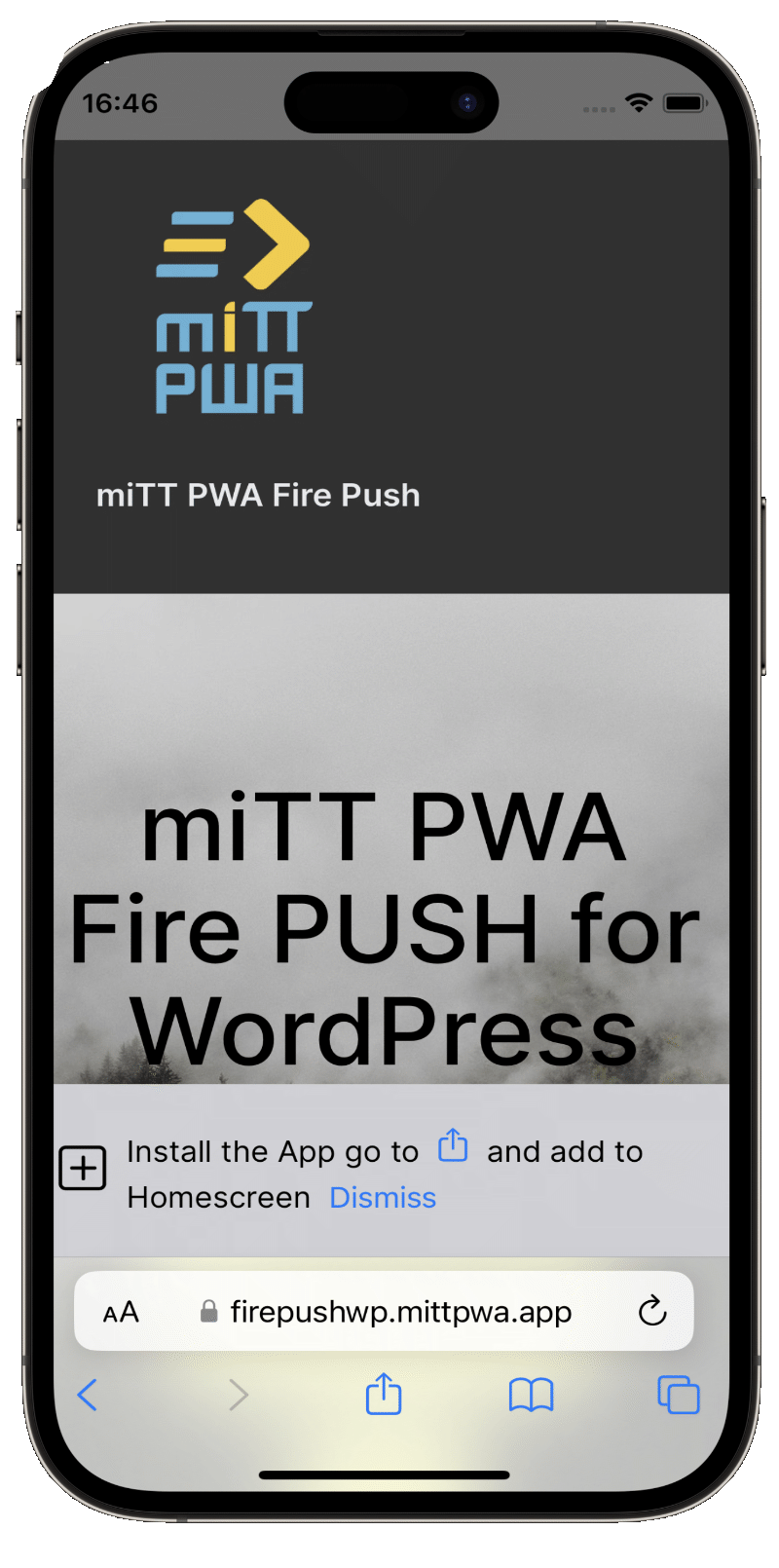 Installationshinweis iOS Wordpress PWA